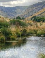 راهنمای انتخاب موضوع پروپوزال روانشناسی بالینی